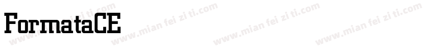 FormataCE Medium字体转换